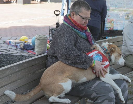Janne sitzt auf einer Bank. Hund Jule liegt quer über ihre Beine gebreitet auf ihrem Schoß. Jule trägt eine Kenndecke, Janne hat den Arm auf ihr abgelegt.