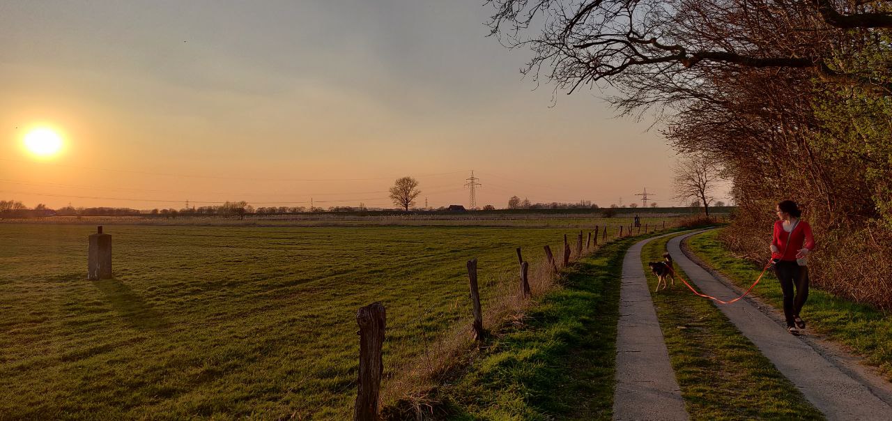 Nora geht mit ihrem Hund Mia auf einem Feldweg spazieren. Im Hintergrund geht die Sonne unter.