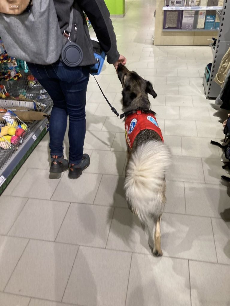 Eine Frau und ein Hund gehen nebeneinander durch ein Futtergeschäft. Die Schnauze des Hundes berührt die Hand der Frau.