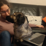 Nora sitzt am Laptop. Der Hund Mia setzt sich zwischen die Nora und den Computer. Nora und Mia sehen sich in die Augen.