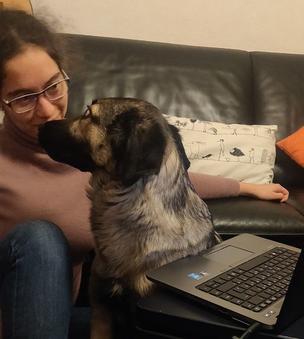 Frau sitzt am Laptop. Der Hund setzt sich zwischen die Frau und den Computer. Frau und Hund sehen sich in die Augen.