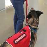 Besuch bei IKEA