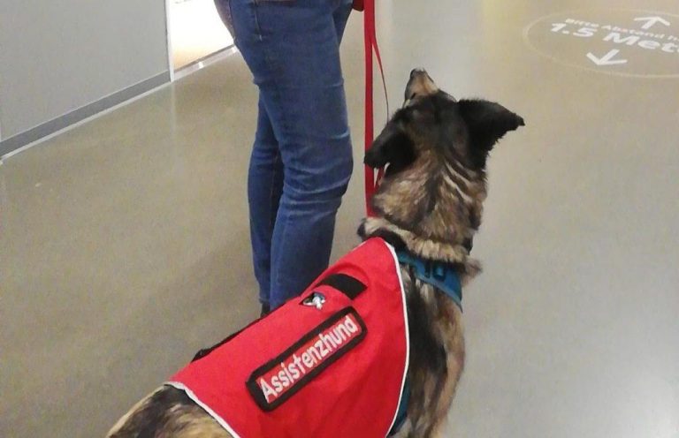 Mehr über den Artikel erfahren Besuch bei IKEA