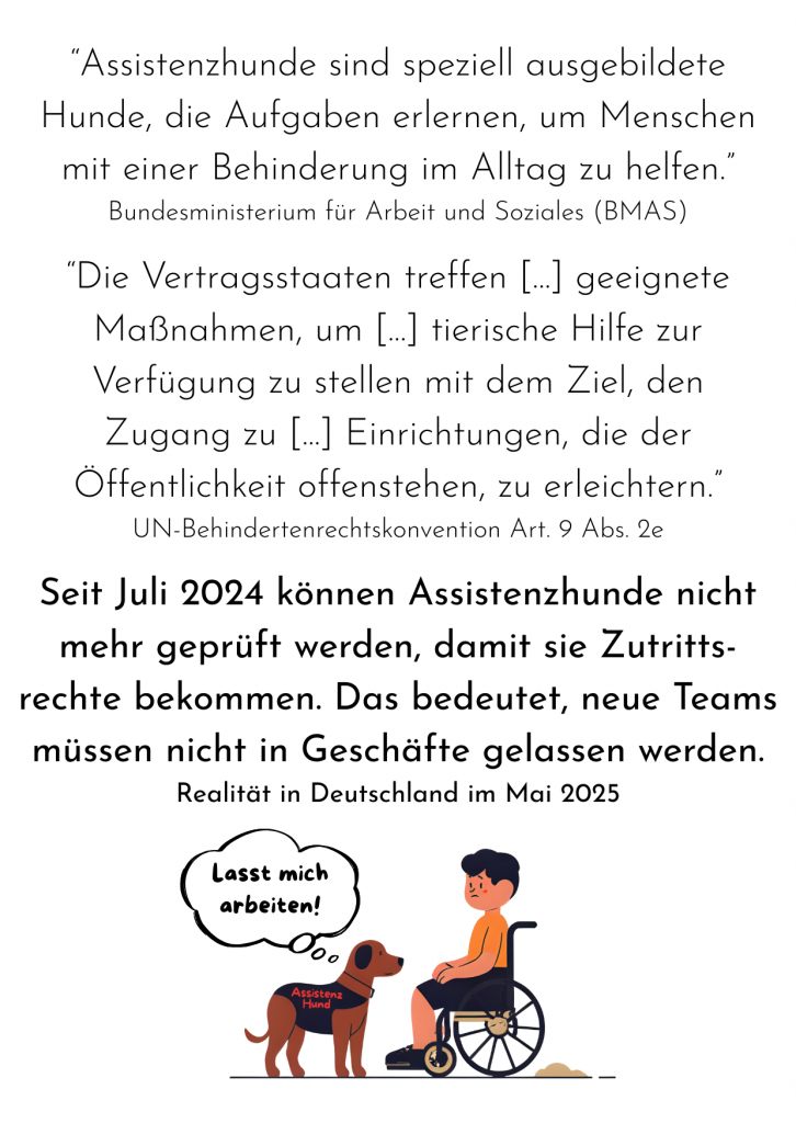 Vorschau der Vorderseite des Flyers zur Petition